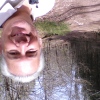 Randy Freeman Photo